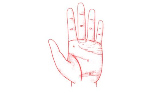 Xem bói tình yêu và tính cách qua tướng tay nam giới | Tử Vi Cổ Học