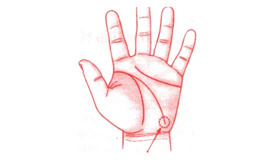 Xem bói tình yêu và tính cách qua tướng tay nam giới | Tử Vi Cổ Học