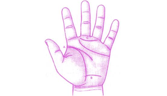 Xem bói tình yêu và tính cách qua tướng tay nữ giới | Tử Vi Cổ Học