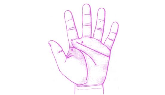 Xem bói tình yêu và tính cách qua tướng tay nữ giới | Tử Vi Cổ Học