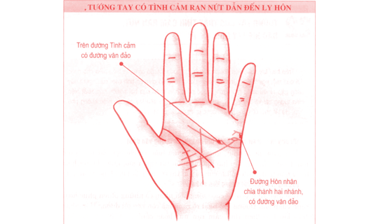 Xem Tướng tay lựa chọn cuộc sống độc thân | Tử Vi Cổ Học