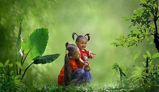 Tử vi trọn đời 2014 Mậu Tuất (nữ) | Tử Vi Cổ Học