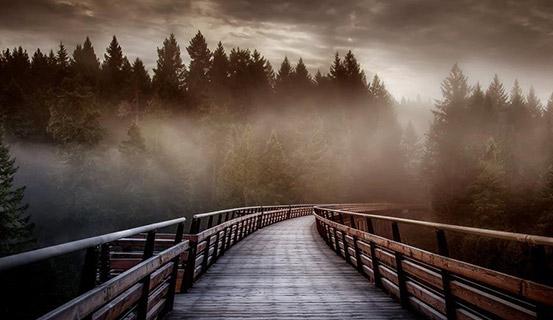 Tử vi trọn đời 2014 Kỷ Dậu (nữ) | Tử Vi Cổ Học