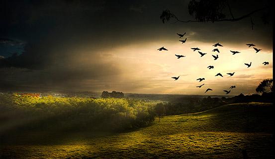 Tử vi trọn đời 2014 Mậu Tý ( nữ ) | Tử Vi Cổ Học