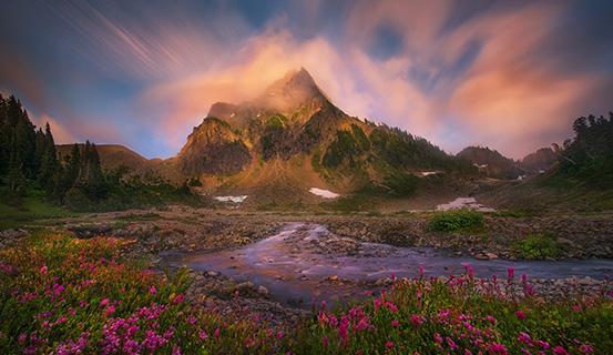 Tử vi trọn đời 2014 Nhâm Thân (nam) | Tử Vi Cổ Học