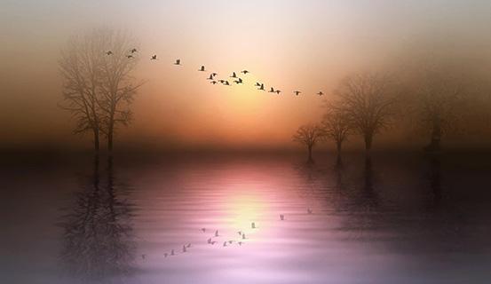 Tử vi trọn đời 2014 ĐinhTỵ (nữ) | Tử Vi Cổ Học