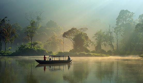 Tử vi trọn đời 2014 Tân Mùi (nữ) | Tử Vi Cổ Học
