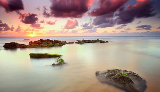 Tử vi trọn đời 2014 Kỷ Mùi (nam) | Tử Vi Cổ Học