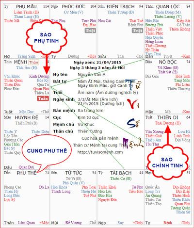 Ý nghĩa cơ bản các cung trong Tử vi | Tử Vi Cổ Học