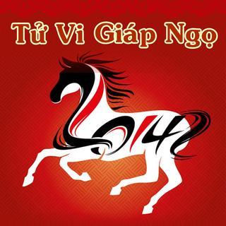 Cách xem vận năm 2014 của bạn trong lá số tử vi (phần 1) | Tử Vi Cổ Học