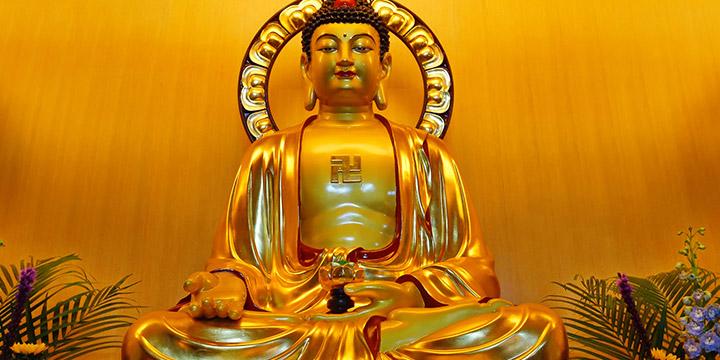 vợ có những nét tướng | Tử Vi Cổ Học