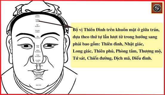 Tướng mặt làm quan hiển hách | Tử Vi Cổ Học