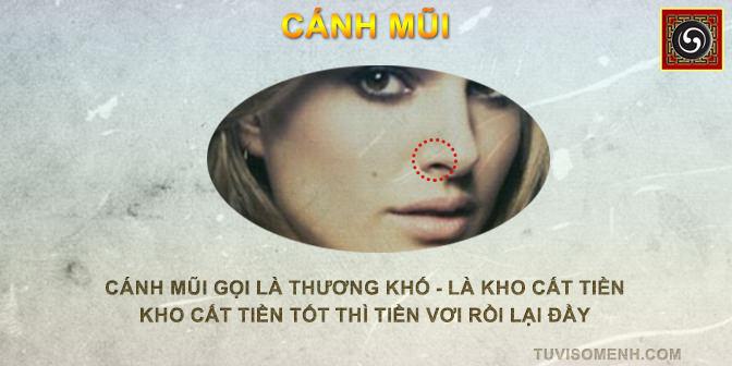 Tướng mũi tổng quan xem bói qua tướng mũi | Tử Vi Cổ Học