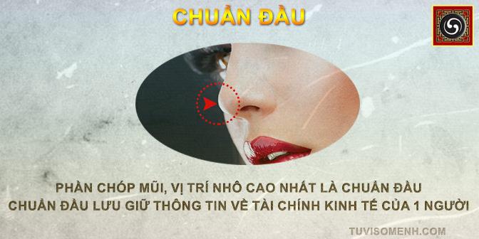 Tướng mũi tổng quan xem bói qua tướng mũi | Tử Vi Cổ Học