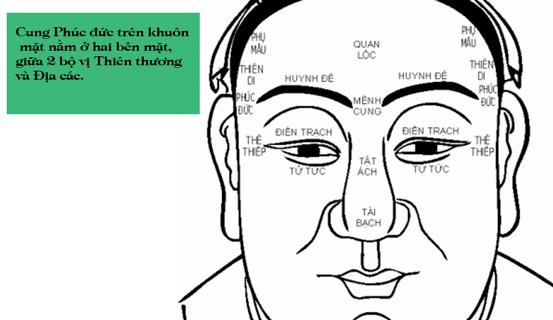 Xem tướng mặt ở Cung Phúc đức | Tử Vi Cổ Học