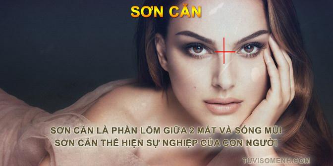 Tướng mũi tổng quan xem bói qua tướng mũi | Tử Vi Cổ Học