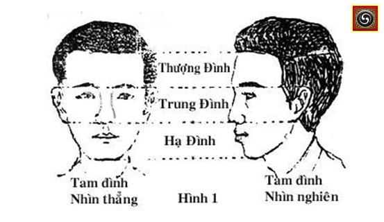 Xem tướng Tam đình trên mặt | Tử Vi Cổ Học