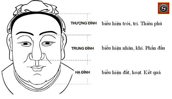 Xem tướng mặt ở Cung Tướng mạo | Tử Vi Cổ Học