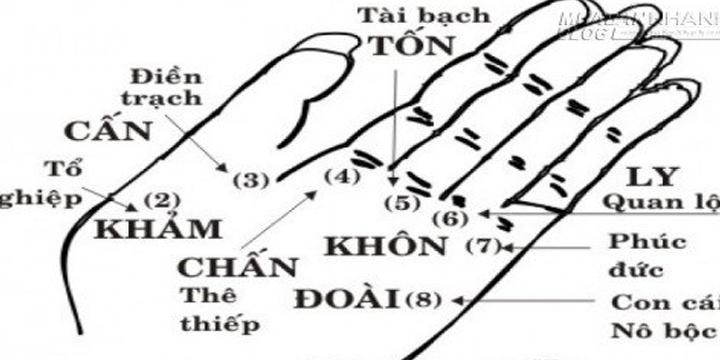 Xem tướng tay và tướng mặt chi tiết, biết ngay vận mệnh cả đời | Tử Vi Cổ Học